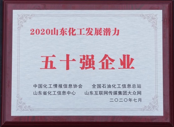 2020山東化工發(fā)展?jié)摿ξ迨畯娖髽I(yè)